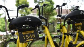 سرویس اشتراک دوچرخه Ofo شعب تعطیل