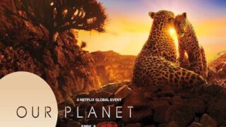 سری تلویزیونی سیاره Our Planet نتفلیکس Netflix با دالبی اتموس + دالبی ویژن