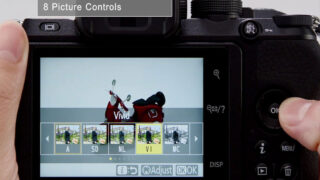 Picture controls دوربین نیکون Z50