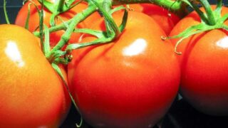 مرور گوجه فرنگی اتفاقی رخ