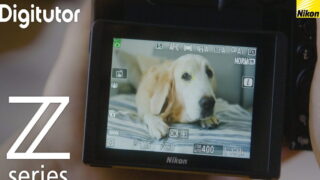 فوکوس خودکار حیوانات خانگی با دوربین سری Z نیکون