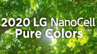 با تلویزیون 2020 NanoCell ال جی رنگهای خالص جنگل احساس