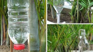 سیستم آبیاری خودکار گیاهان منزل