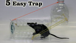ترفند کاربردی ساخت تله موش