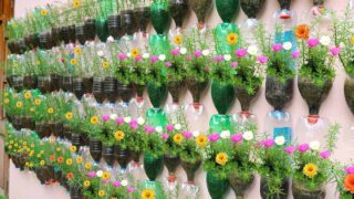 ساخت بطری پلاستیکی بازیافتی با باغچه باغ دیواری