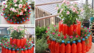 ساخت گلدان تزئینی با بازیافت بطری پلاستیکی