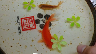 هنر نقاشی ماهی قرمز سه بعدی با رنگ رزین اپوکسی
