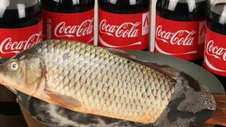 آزمایشی پخت ماهی نوشابه کوکاکولا