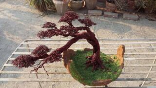 ساخت درخت سیمی گلدان درختچه بونسای