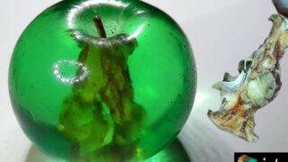 ساخت رزین اپوکسی با سیب شفاف تزئینی