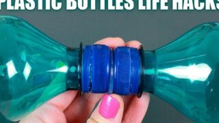ایده مجدد بطری پلاستیکی