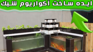 ساخت آکواریوم کنج باغ حیاط