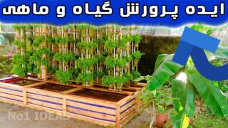 ساخت برج گیاهی آکواریوم ماهی فضای