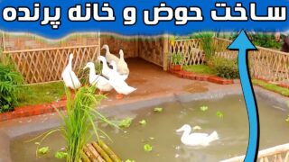 ساخت حوض پرنده پرورش ماهی اردک