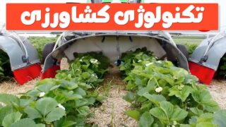 استفاده از تکنولوژی در کشاورزی برای تامین امنیت غذایی!