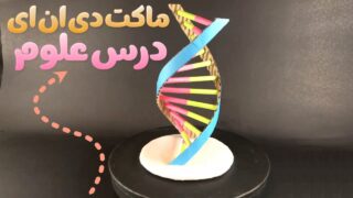 ماکت دی ان ای برای درس علوم مدرسه